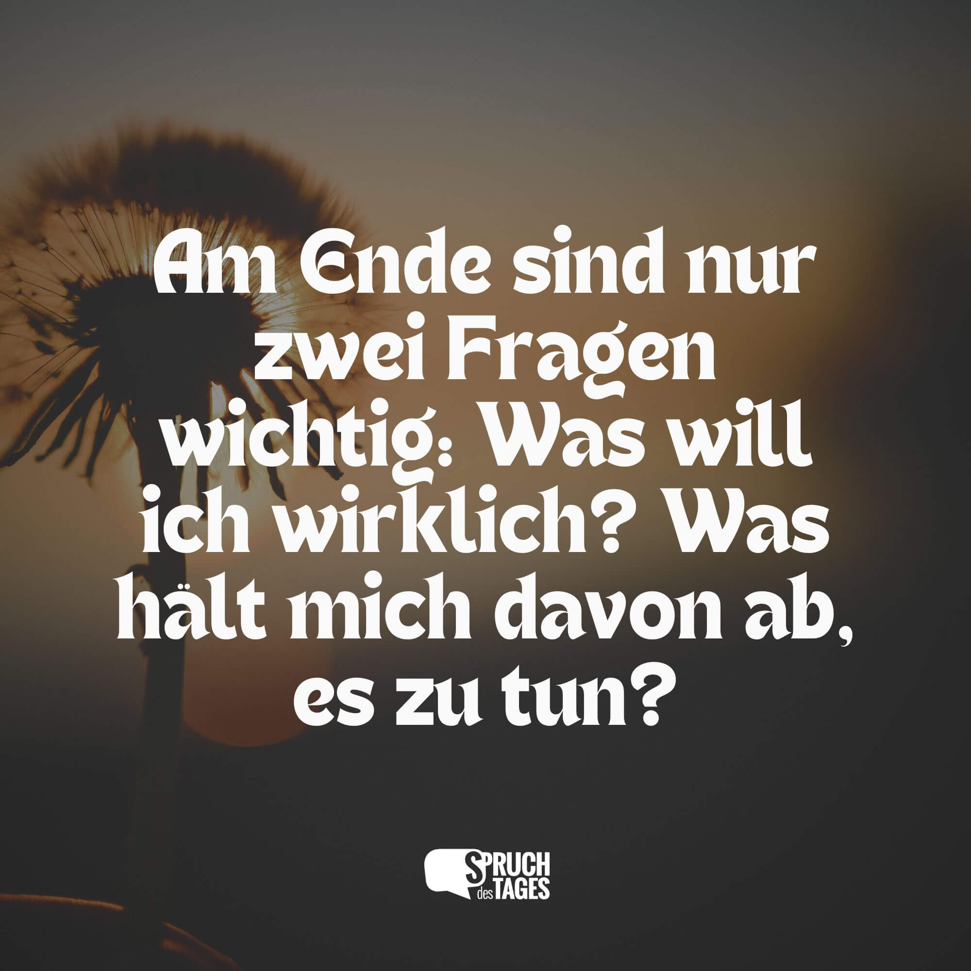 Am Ende sind nur zwei Fragen wichtig: Was will ich wirklich? Was hält mich davon ab, es zu tun?