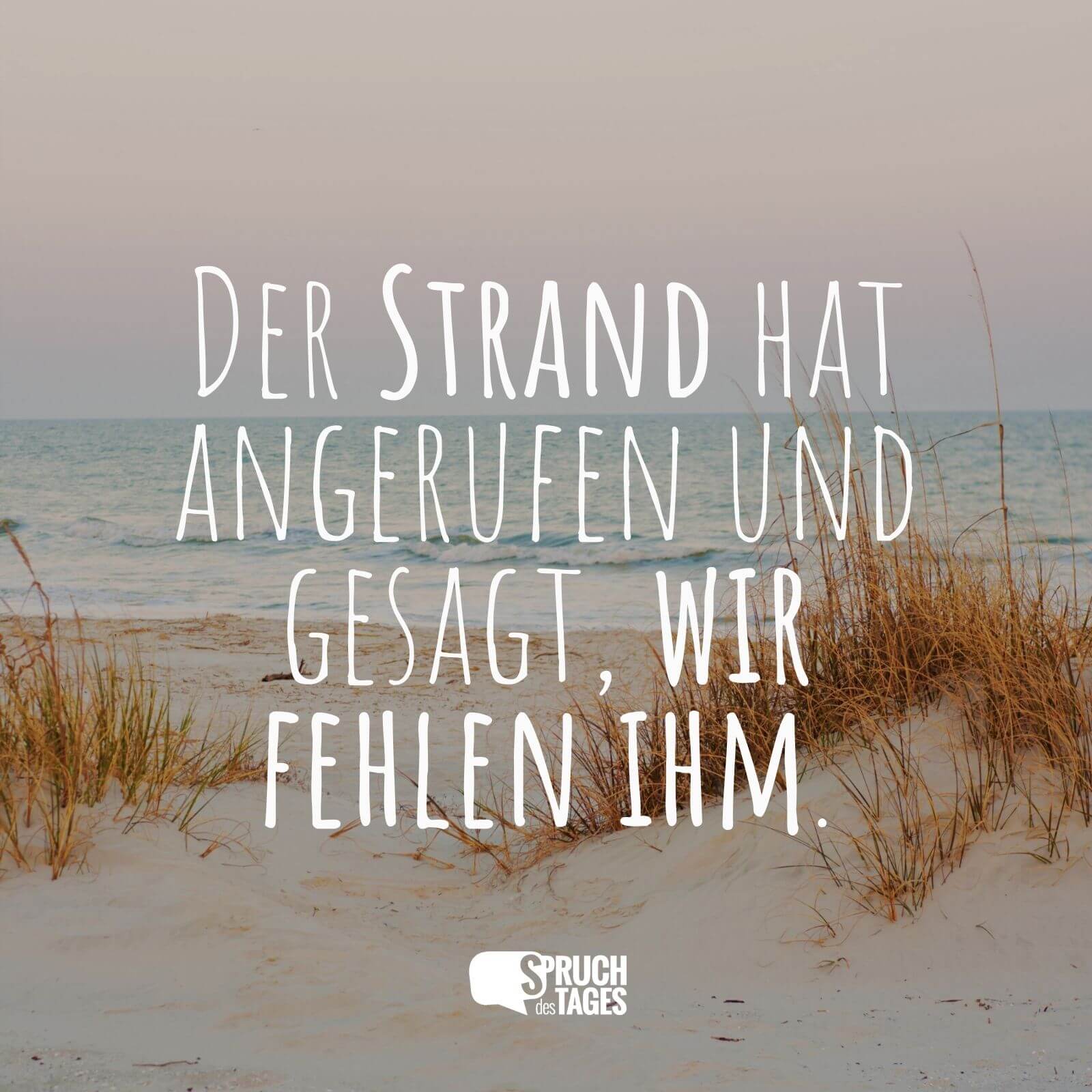 Der Strand hat angerufen und gesagt, wir fehlen ihm.