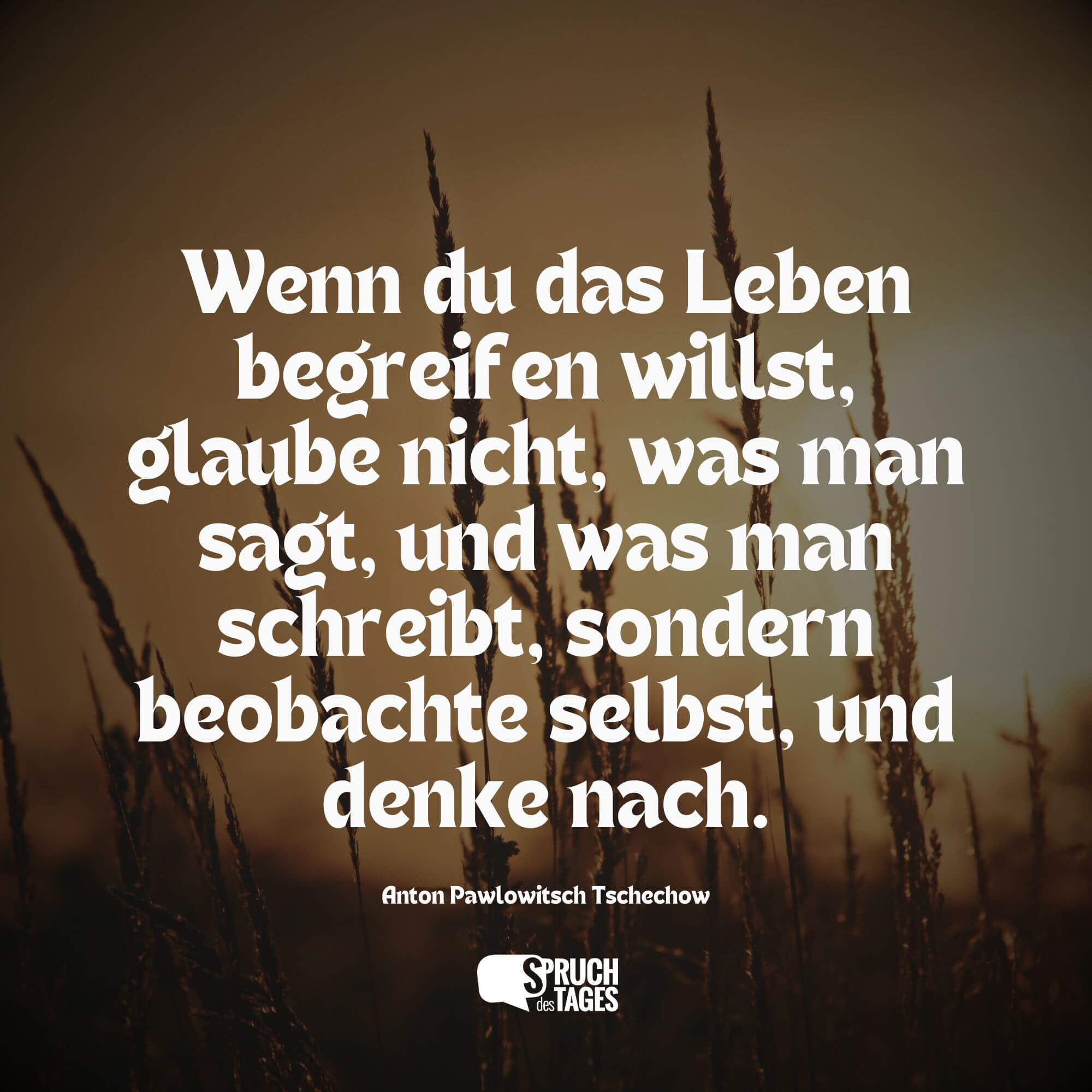 Wenn du das Leben begreifen willst, glaube nicht, was man sagt, und was man schreibt, sondern beobachte selbst, und denke nach.