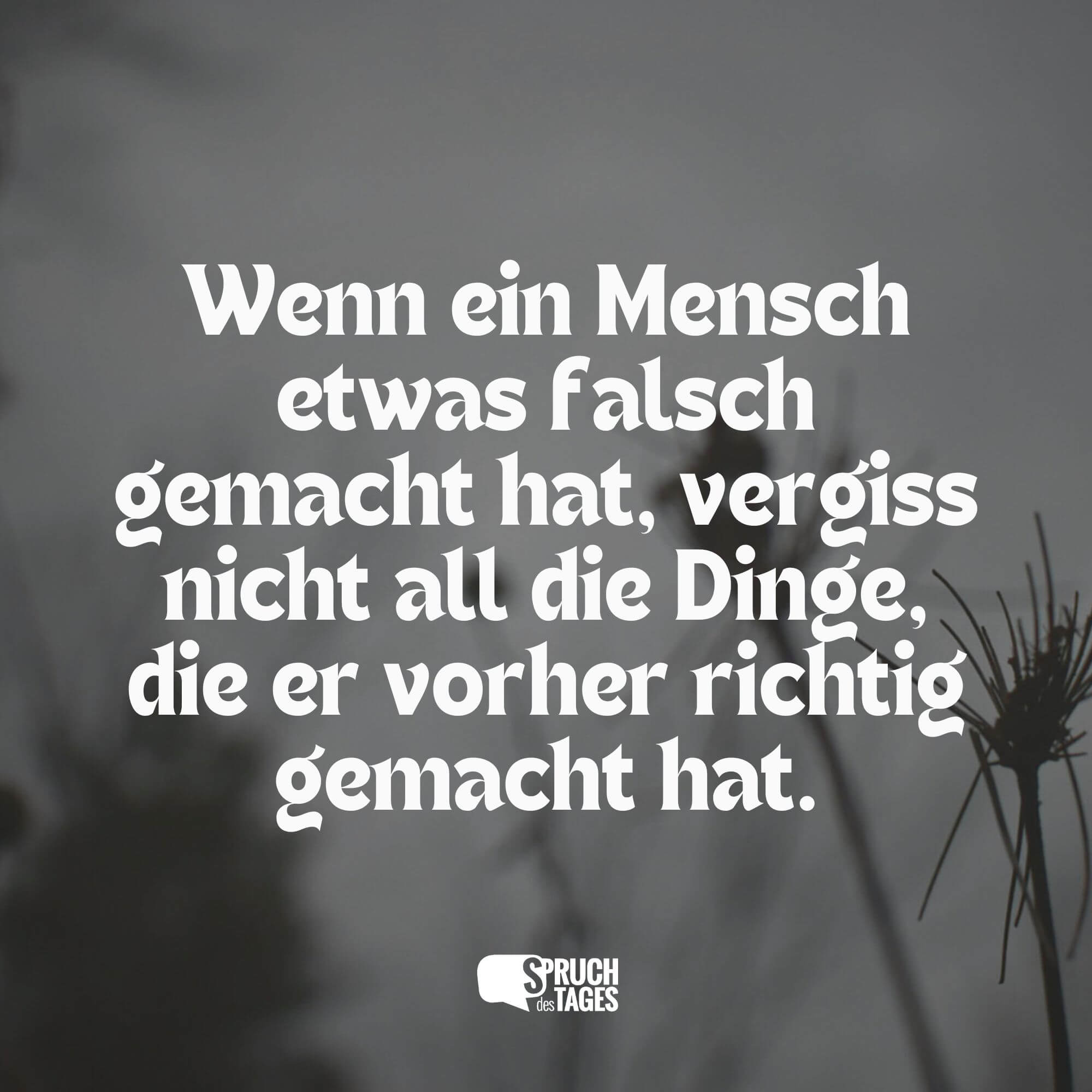 Wenn ein Mensch etwas falsch gemacht hat, vergiss nicht all die Dinge, die er vorher richtig gemacht hat.